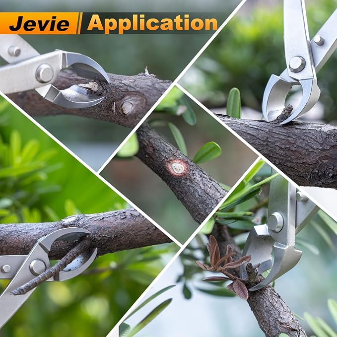 8 inch Concave Cutter, Stainless Steel Cutter for Bonsai & Gardening Pruning, Supplied By Jevie (Circular)