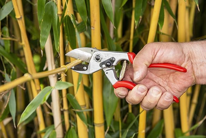 Felco Pruning Shears (F 31) - High Performance Swiss Made One-Hand Anvil Garden Pruners