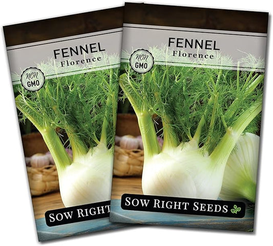 Sow Right Seeds - Florence Fennel Seed for Planting - Non-GMO Heirloom Packet with Instructions to Plant and Grow in Your Herbal Garden - Great for Seasoning and Cooking - Attract Pollinators (2)