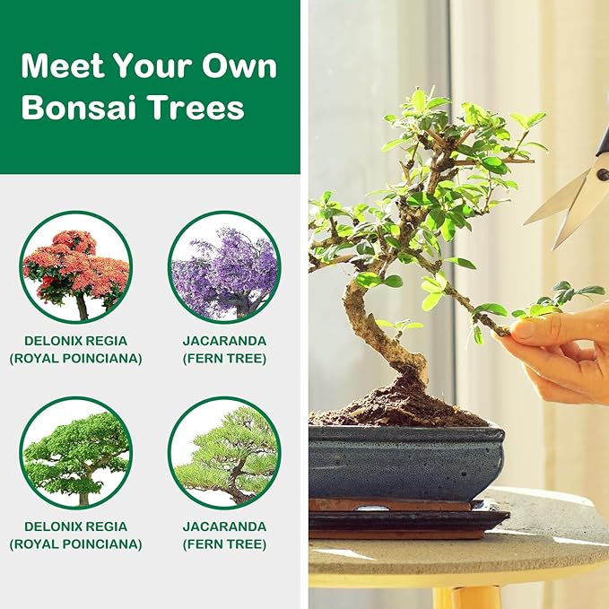 Bonsai Tree Kit, Bonsai Starter Kit for Growing Bonsai Plants with Tools, Grow Bonsai Tree Live Indoor, Garden Crafts Hobby Kits, Unique DIY Gardening Gifts for Men Women Mother