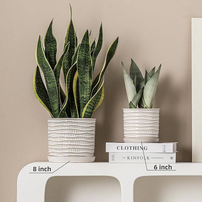 6 Inch Plant Pot: Ceramic Planter with Drainage Hole & Saucer - Cream White Flowerpot for Indoor & Outdoor Plants - with Separate Tray for Home & Office - Wave Embossed Design