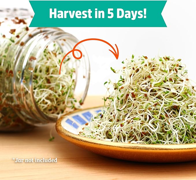 Back to the Roots 100% Organic Alfalfa Seeds | 1 Pound Non-GMO | Nutrient Dense, Easy to Grow, Rich in Fiber