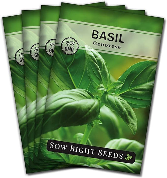 Sow Right Seeds - Genovese Sweet Basil Seed for Planting - Non-GMO Heirloom Packet with Instructions to Plant and Grow a Kitchen Herb Garden - Indoors or Outdoor - Great for Hydroponic Gardening (4)