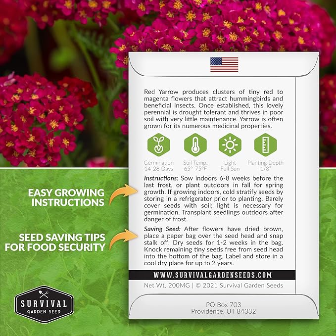 Red Yarrow Seed for Planting in The Garden - 3 Packs with Instructions to Plant and Grow Common Yarrow - Medicinal Herb Wildflowers - Heirloom, Non-GMO, Open-Pollinated Seeds for The Survival Garden