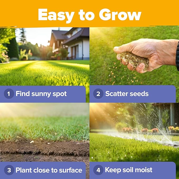 HOME GROWN 120,000+ Wildflower Seeds Bulk: (4oz) Perennial Wild Flower Seeds for Planting - Butterfly Garden Seeds for Attracting Birds & Bees - 25 Variety