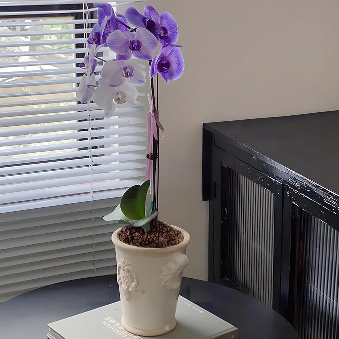 AVALUTION Orchid Potting Bark-18QT Organic Orchid Bark for Plants, All Natural Pine Bark Wood Chips Orchid Bark Potting Mix for Houseplant Mulch, Help Orchid Plants Root Health Development