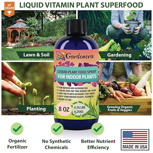 Plant Growth Superfood for ALBO VARIEGATA with Vitamins & Minerals - Organic Plant Food Fertilizer - Micro-Fungi and Bio-Organisms for Albo Variegata Plant Care & Growth Enhancement - 32oz