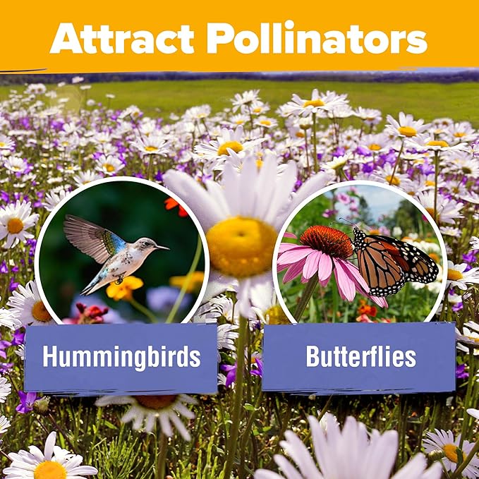 90,000 Wildflower Seeds - 3oz Pure Wild Flower Seed Pack - 25 Variety - Perennial Flower Seeds for Attracting Birds & Butterflies - Open Pollinated, Flower Garden Seeds for Planting Outdoors