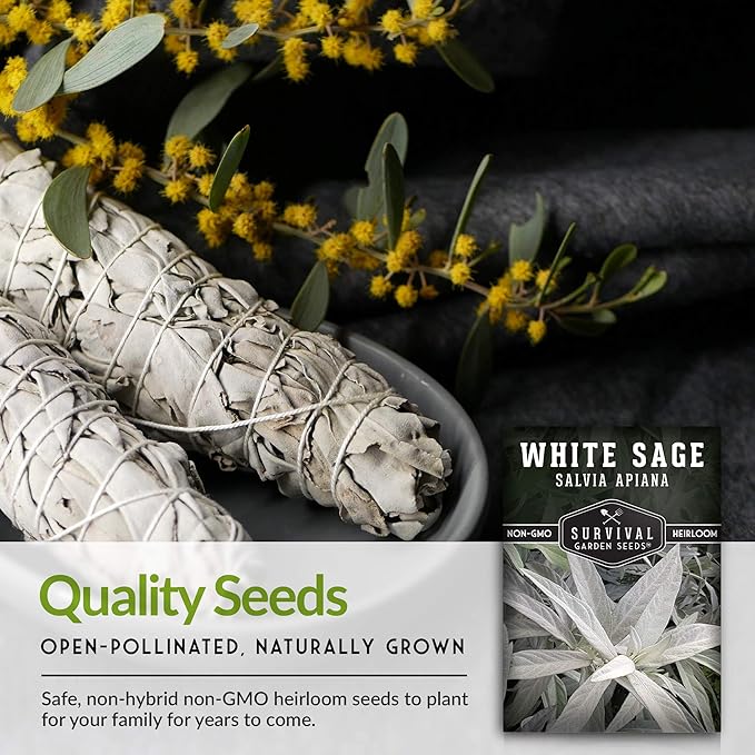 Survival Garden Seeds - 5 Packs White Sage Seed for Planting - Grow Sustainable Smudging Herbs - Packet with Instructions to Plant & Grow in Your Home Garden - Non-GMO Heirloom Variety