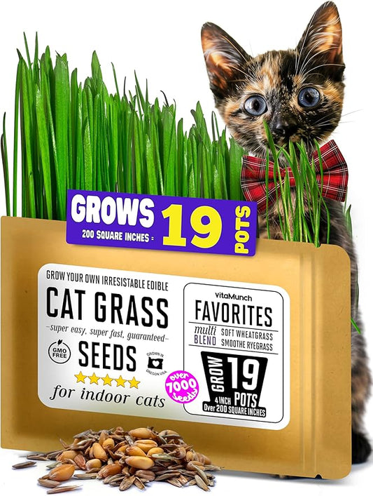 Cat Grass Seeds Favorites Blend Soft Wheatgrass & Smooth Ryegrass β Grows 19 Pots of Fresh Cat Grass for Indoor Cats β Easy & Fast β Small Pack Grows 200 Square inches of Edible cat Grass β Vitamunch