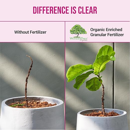 Eden Rose & Flower Organic Enriched Fertilizer | Neem Plant Food-7-5-3 Enriched Formula | for Best Flower Growth (5lbs)