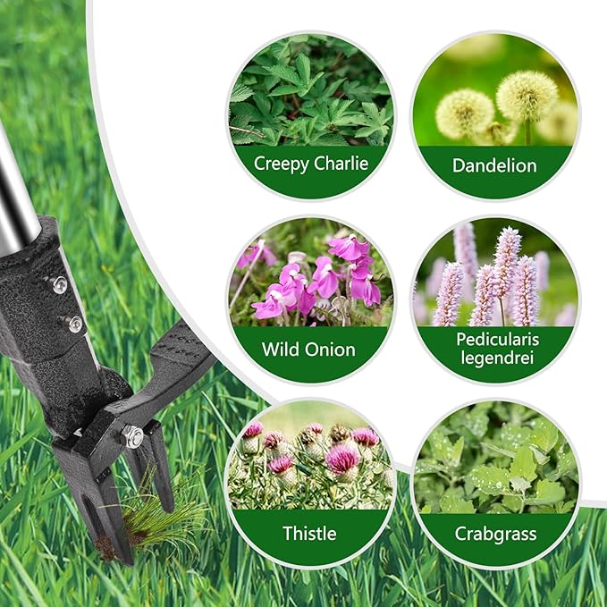 Aimery Weed Puller Tool, Weed Removal Tool, Vertical Weed Puller, Adjustable - Height and Detachable Garden Vertical Root Remover, which can Easily Remove Weeds Without Squatting or Kneeling.