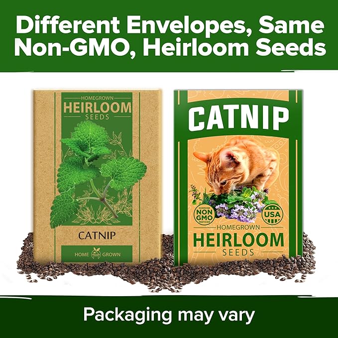 HOME GROWN Catnip Seeds 2 Pack - 4232 Bulk Non-GMO Heirloom Herb Seeds - Indoor or Outdoor Seed - High-Germination Cat Nip - Cat Safe Plants (Nepeta cataria)