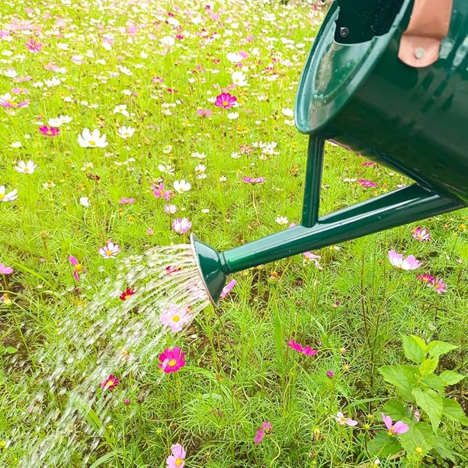 Metal Watering Can for Outdoor and Indoor Plants, Watering Can Decor, 1 Gallon (NewGreen)