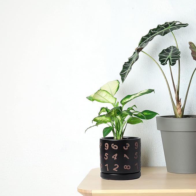 D'vine Dev Set of 2 Ceramic Planter Pots with Drainage Hole and Saucer, 4.5 Inch 6 Inch Plant Pots for Plants Indoor Houseplants, Black, 99-B-2