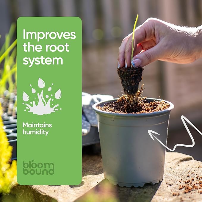 Coconut Coir Large Brick 10lb - OMRI Listed Organic Potting Soil, Coco Soil Block for Plants, pH Balanced Potting Mix, Low EC Compressed - Coco Coir Bulk Vegetables, Herbs