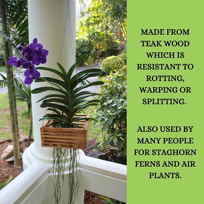 Set of 3 Strong Hanging Orchid Baskets with Hangers, for Orchids, Staghorn Ferns, Handmade Rustic Wood Vanda Baskets, Staghorn Fern Mount