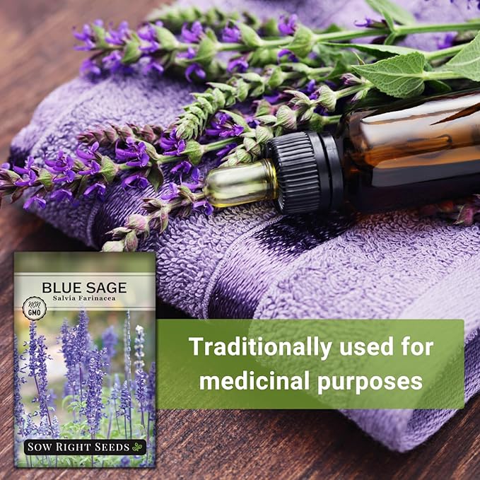 Sow Right Seeds - Blue Sage Wildflower Seed to Plant - Non-GMO Heirloom Seeds - Full Instructions for Planting and Growing Mealycup Sage or Salvia farinacea - Indoors or Outdoor - Gardening Gift (1)
