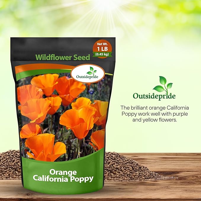 Outsidepride Eschscholzia Orange California Poppy Seeds - 1 lb. Annual, Native, Drought Tolerant Wildflower Seeds w/Vibrant Blooms for Full Sun & Drought-Tolerant Pollinator-Friendly Gardens