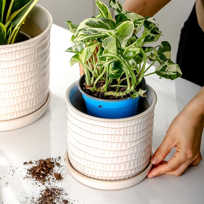 6 Inch Plant Pot: Ceramic Planter with Drainage Hole & Saucer for Indoor Outdoor Plants - Flowerpot with Bonded Tray for Home Office - Wave Embossed