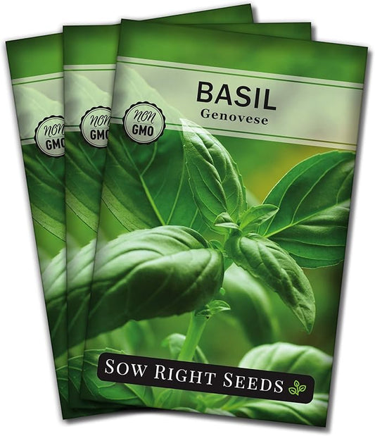 Sow Right Seeds - Genovese Sweet Basil Seed for Planting - Non-GMO Heirloom Packet with Instructions to Plant and Grow a Kitchen Herb Garden - Indoors or Outdoor - Great for Hydroponic Gardening (3)