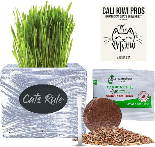 Cat Grass for Indoor Cats Kit β Organic Wheatgrass Seed & Soil, Hairball Remedy in Red Cedar Planter, Gift Box with Bonus Label, Pen & 10% Cat Treats Discount (White)
