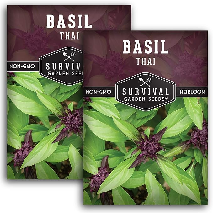 Survival Garden Seeds - Thai Basil Seed for Planting - Packet with Instructions to Plant and Grow Asian Basil Indoors or Outdoors in Your Home Vegetable Garden - Non-GMO Heirloom Variety - 2 Pack