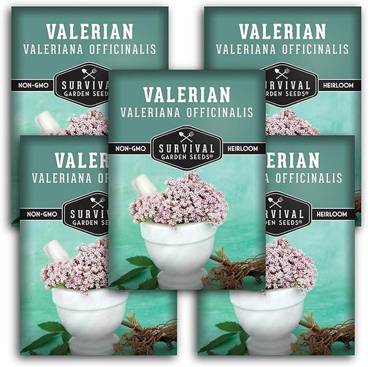 Valerian Seeds for Planting - 5 Packets with Instructions to Plant and Grow Medicinal Herb Valeriana Officinalis in Your Home Herb Garden - Non-GMO Heirloom Variety - Survival Garden Seeds