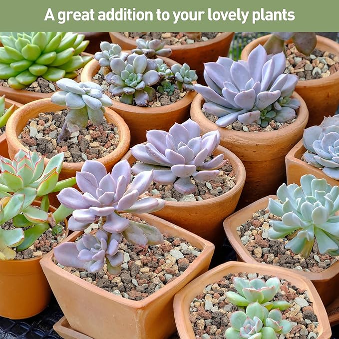 GASPRO 2.5lbs Lava Rocks for Plants, 1/5 Inch Pea Gravel for Succulent, Pots Indoor, Terrarium, Cactus, Bamboo, Bonsai Tree, Top-Dressing, Mixed Color Volcanic Rocks, Good Drainage