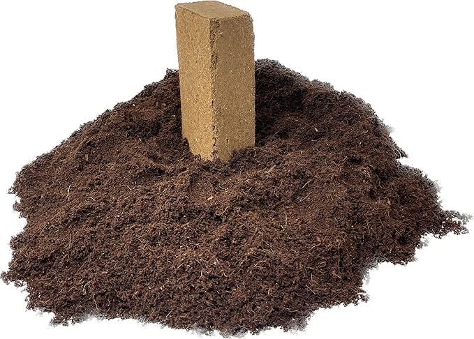 Seed Needs, Sunflower Seed Packet Collection Seed Starting Bundle (Includes 6 Individual Seed Packets, 36 Starter Pots & 1 Expandable Coco Coir Brick) Heirloom, Open Pollinated & Untreated