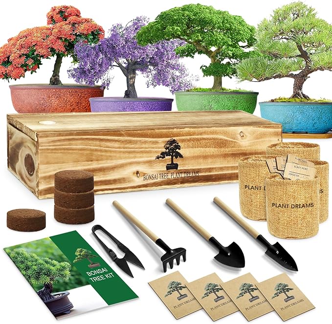 Bonsai Tree Kit, Bonsai Starter Kit for Growing Bonsai Plants with Tools, Grow Bonsai Tree Live Indoor, Garden Crafts Hobby Kits, Unique DIY Gardening Gifts for Men Women Mother