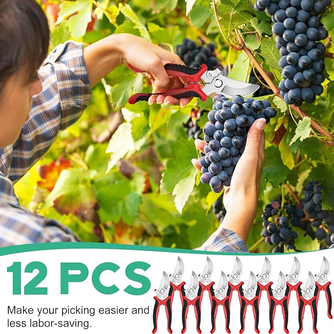 Lothee 12 Pcs Pruning Shears Bulk for Gardening Flower Shears, Floral Scissors 7.5 Inch Bypass Garden Hand Shears Clippers for Cutting Flowers, Trimming Plants Heavy Duty Garden Tools(Red)