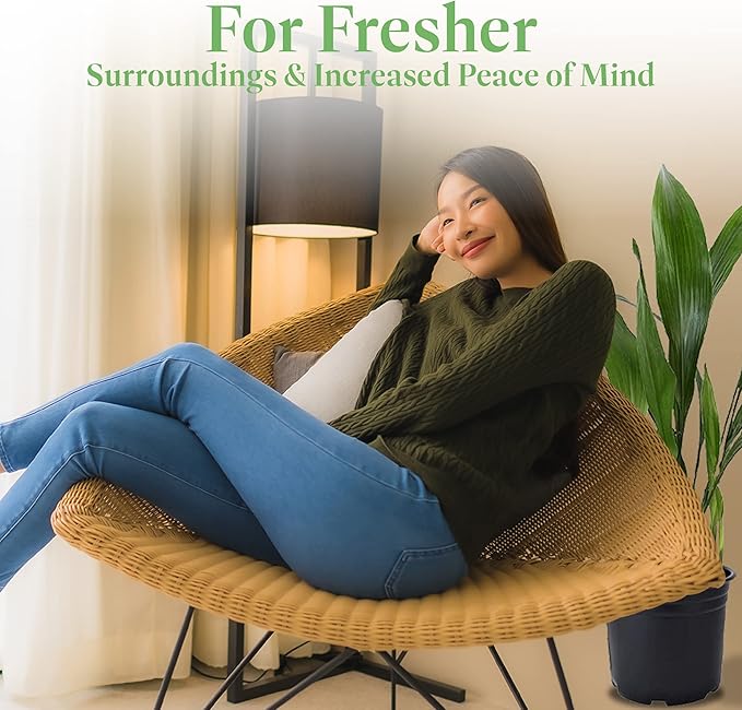 American Plant Exchange Cast Iron Plant, Large 10-Inch Pot, Elegant Easy to Care Indoor Houseplant, Dark Green Foliage, Thrives on Neglect, Low-Light & Pet Safe, Live Home & Garden Décor