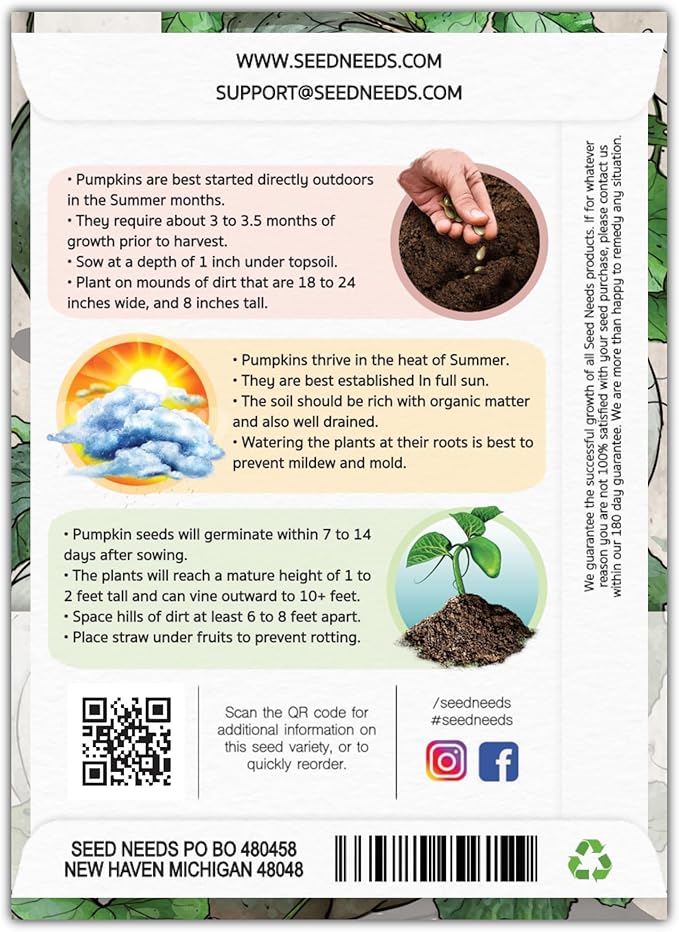 Seed Needs, Blue Jarrahdale Pumpkin Seeds - 20 Heirloom Seeds for Planting Cucurbita Maxima - Non-GMO & Untreated - Tasty Decorative Pumpkin for Halloween & Fall (2 Packs)