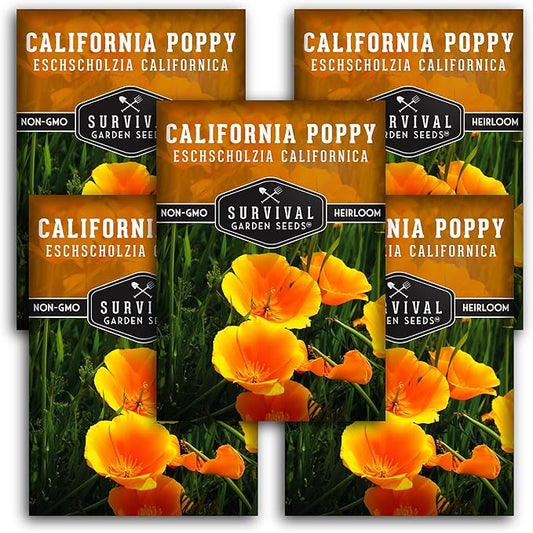 Survival Garden Seeds 5 Packets California Poppy for Planting - Seed Packs with Instructions to Grow Eschscholzia Californica Plants in Your Home Flower Garden - Non-GMO Heirloom Wildflower Variety