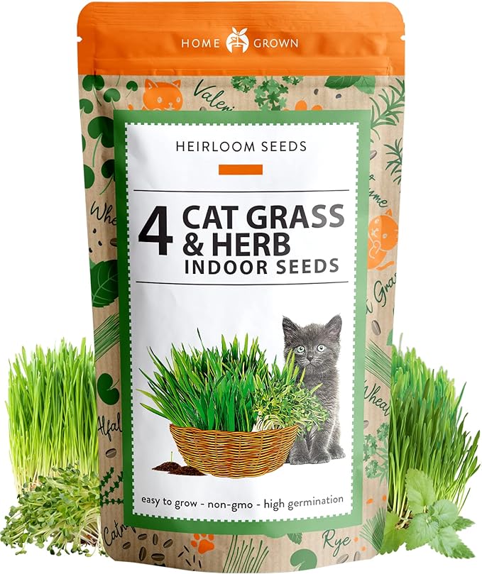 HOME GROWN 3200+ Cat Grass β π‘π’π‘-ππ π’ π¨π¦π Grown Catnip, Alfalfa, Oat, Cat Grass Mix β Indoor Cat Grass Kit Refill β High-Germination Pet Grass for Hairball Relief & Digestion