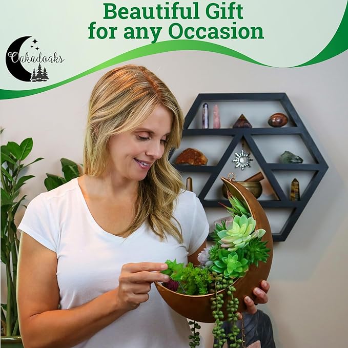 Hanging Moon Planter - Moms Day Gifts for Women - Moon Room Decor - Unique Planters for Succulents,Air Plant, Cactus, Artificial Plants- Plant Lover Gifts - Boho,Hippie, Witchy, Birthdays Gifts