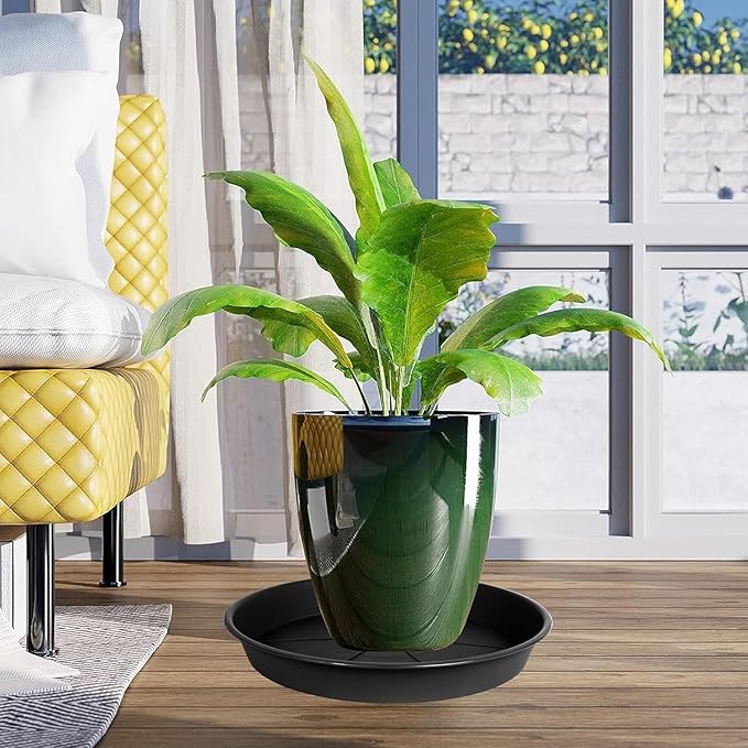 2 Pack of Plant Saucer 8 inch, Black Plastic Flower Plant Pot Saucer, Heavy Duty Plant Drip Trays Saucers for Indoor, Plant Water Tray for Planters
