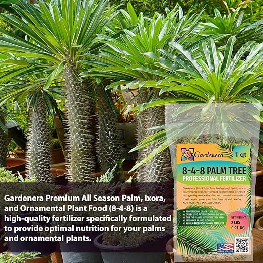 All Season Palm, Ixora, and Ornamental Plant Food (8-4-8) - Optimize Nutrition for Thriving Palm Trees and Ornamental Plants - 5 QUARTS