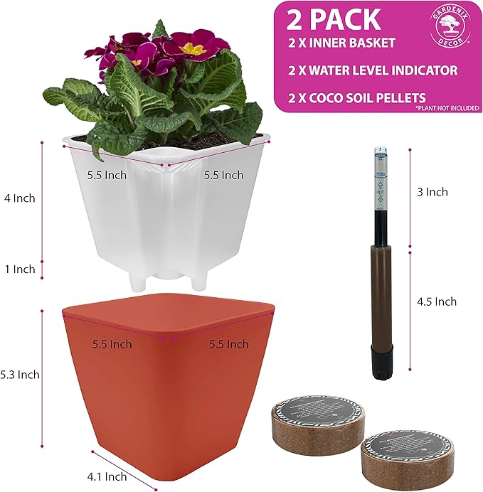 GARDENIX DECOR 5" Self Watering pots for Indoor Plants - Flower Pot with Water Level Indicator for Plants, Grow Tracking Tool - Self Watering Planter Plant Pot – 2 Pack Terracota