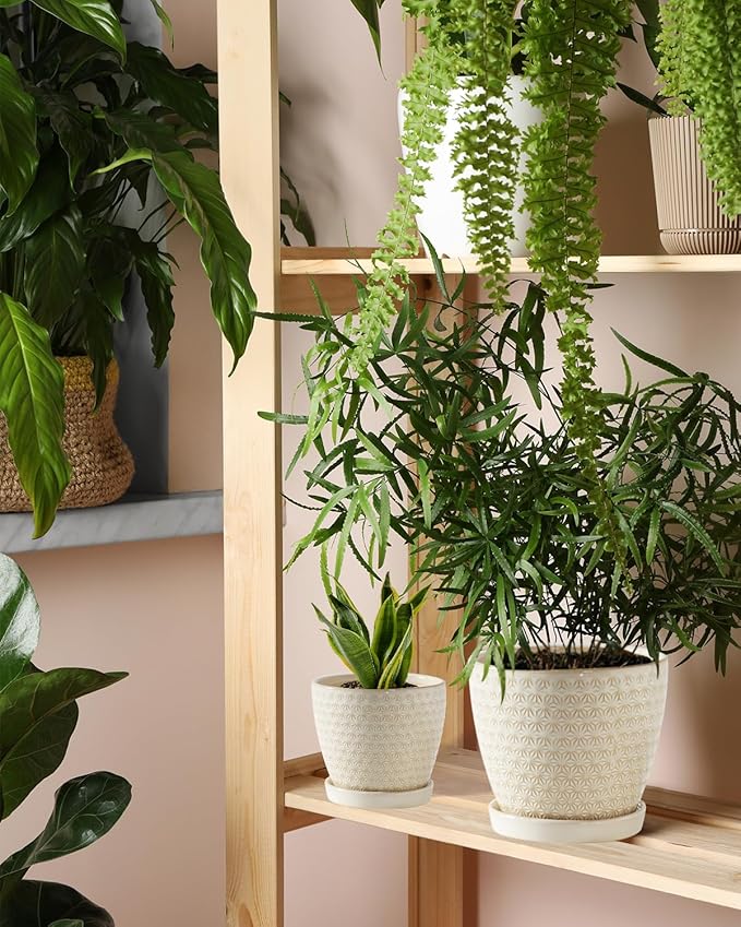 Plant Pots, Flower Pots, Planters for Indoor Plants(6.5+5.5inch), Flower Pots for Indoor Plants with Drainage Hole and Saucer, Ceramic Pots for Plants with Hole Mesh Pad,Reactive Glaze White