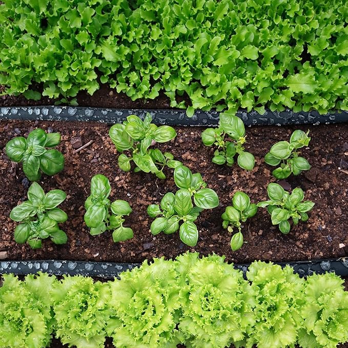 Flat Soaker Hose 50FT*2 Heavy Duty Double Layer Design Save 80% Water for Garden Lawn and Flower Bed Drip Irrigation (100FT)