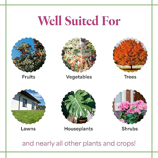 Grow More All-Season's Plant Food (20-20-20 Fertilizer) - 5lbs of All Purpose Fertilizer - Water Soluble Fertilizer Plant Food for Houseplants & Outdoor Plants with Chelated Micronutrients