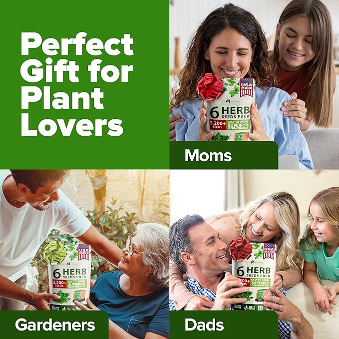 HOME GROWN 6 Herb Seeds Variety Pack – Plant an Indoor or Outdoor Herb Garden: Basil, Lavender, Cilantro, Parsley, Thyme and Oregano Seeds – 3200+ Non-GMO Heirloom Herb Seeds – Bonus Markers