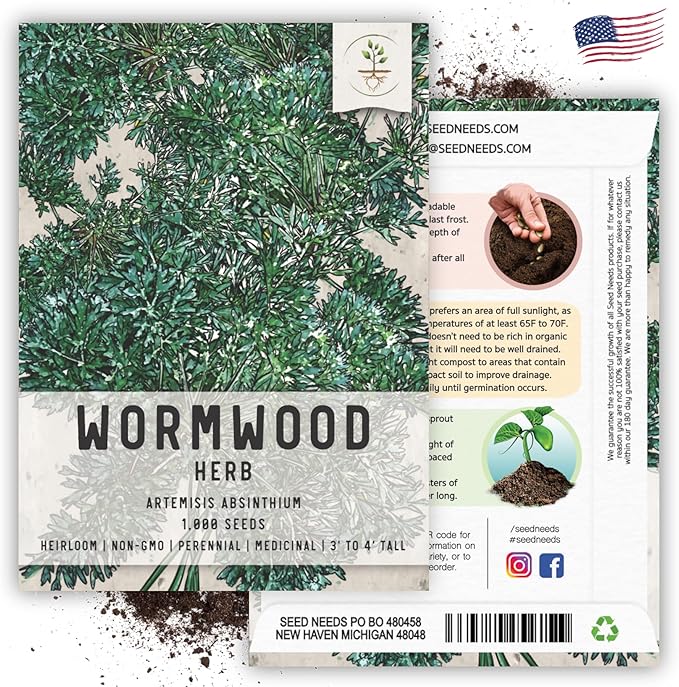 Seed Needs Wormwood Seeds for Planting - Non-GMO, Heirloom & Untreated Perennial Herb - Medicinal Herbs for Digestion & Gut Health (1 Pack)