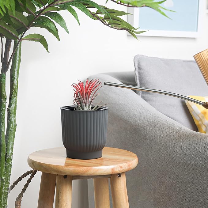 T4U African Violet Pots, 4 Inch Self Watering Pots for Indoor Plants, 6 Pack Small Planters, Durable Charcoal Gray Plastic Small Pots for Indoor Plants, Flower