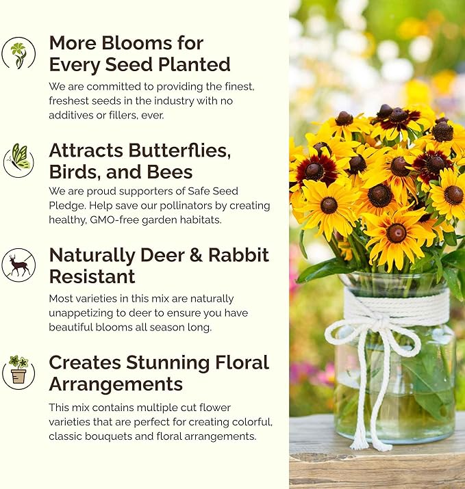 Eden Brothers Daisy Crazy Flower Mixed Seeds for Planting, 1/4 lb, 120,000+ Seeds with Creeping, Painted, Yellow Daisy | Attracts Pollinators, Plant in Spring or Fall, Zones 3, 4, 5, 6, 7, 8, 9, 10