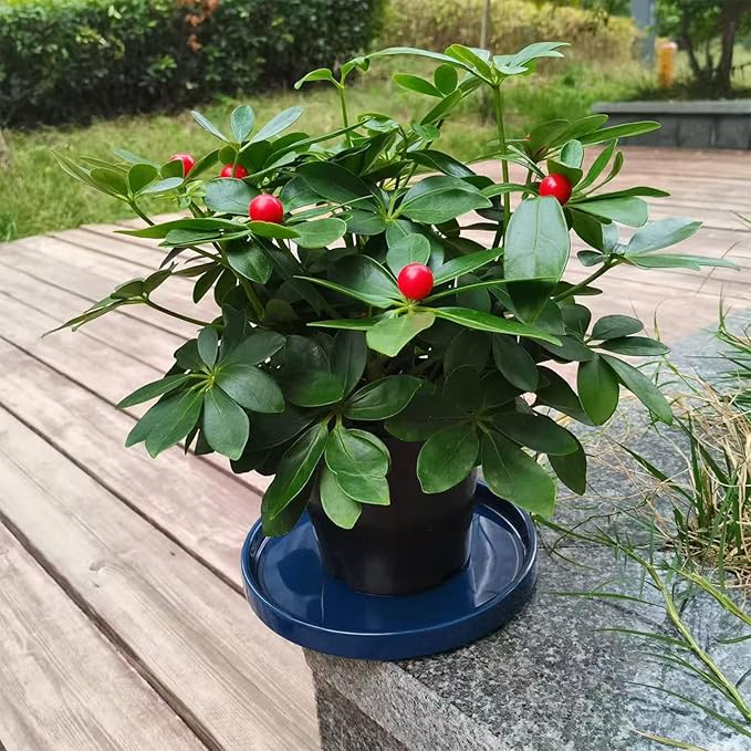 Ceramic Plant Saucer 7 Inch, 2 Pack Round Plant Trays for Indoors/Outdoors, Flower Pot Saucers for Holding Water Drips and Soil, Ceramic Drainage Tray for Plant Pot (Blue)