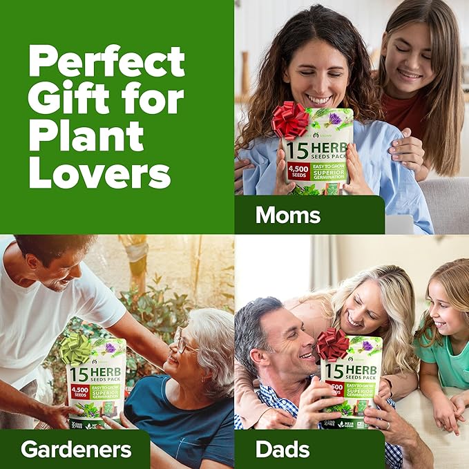 HOME GROWN 15 Culinary Herb Seeds - Heirloom & Non GMO - High Germination Rate - Seeds for Planting Indoor Hydroponic or Outdoor Garden | Gardening Gift Men Women Gardeners Basil, Cilantro, Mint