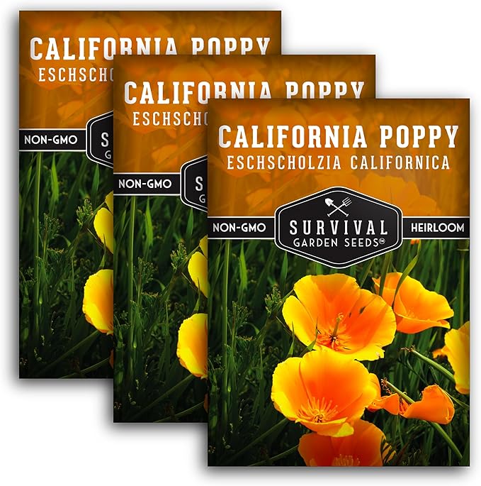 Survival Garden Seeds 3 Packets California Poppy for Planting - Seed Packs with Instructions to Grow Eschscholzia Californica Plants in Your Home Flower Garden - Non-GMO Heirloom Wildflower Variety
